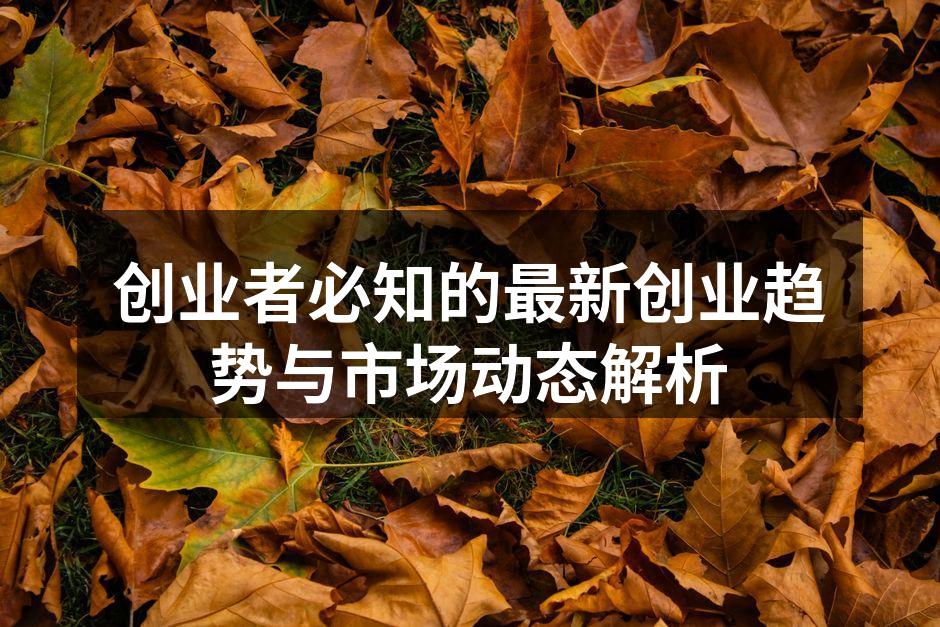 创业者需关注市场动态