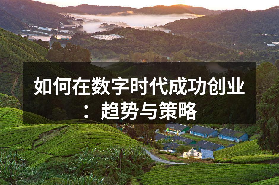 数字时代的创业机遇